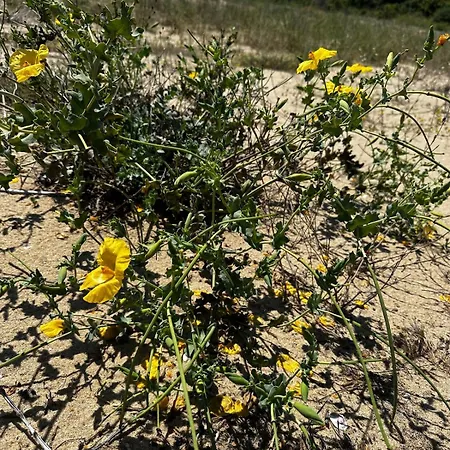 Apartamento Perfect Sea And Pool View Long