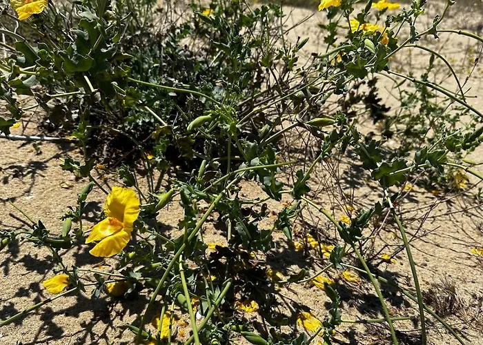 Appartement Perfect Sea And Pool View Long